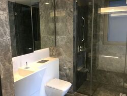 Cairnhill Nine (D9), Apartment #553446361